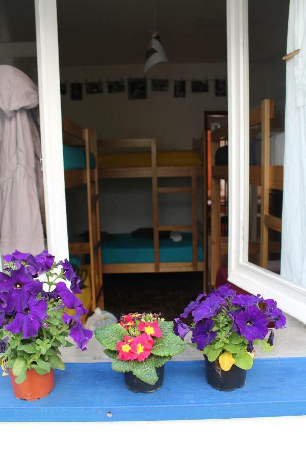 Bunk Bed Mixed Dormitory Room,803382192:JPEG